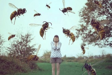 Боязнь пчел дезориентирует